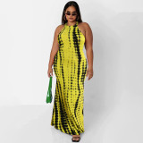 Plus Size Printed Sleeveless Maxi Dress OSIF-22410