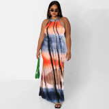 Plus Size Printed Sleeveless Maxi Dress OSIF-22410