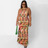 Plus Size Printed Sleeveless Maxi Dress OSIF-22410