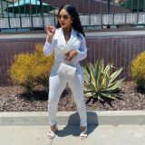 Solid Mesh Sleeve Notched Collar Jumpsuit WPF-80798