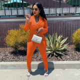 Solid Mesh Sleeve Notched Collar Jumpsuit WPF-80798