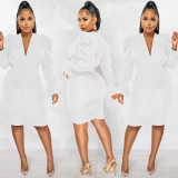 Solid Long Sleeve V Neck Ruched Bodycon Dress BY-5893