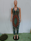 Sexy Printed V Neck Halter Harem Jumpsuit BN-9097