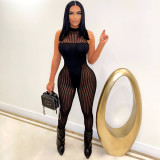 Sexy Mesh Striped Sleeveless Jumpsuit SH-390365