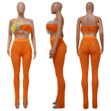 Sexy Feather Two Piece Pants Sets YF-10179
