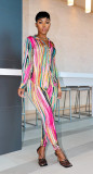 Casual Printed Long Sleeve Shirt+Pants 2 Piece Sets CM-8630
