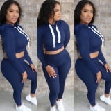Solid Hooded Crop Top And Pants 2 Piece Sets DDF-8024