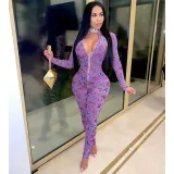 Butterfly Print Mesh Long Sleeve Zipper Jumpsuit SH-390379