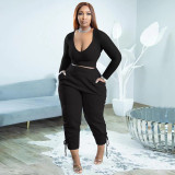 Plus Size Long Sleeve V Neck Two Piece Pants Sets WSYF-5950-1
