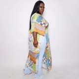 Plus Size Printed V Neck Loose Vacation Maxi Dress NNWF-7543