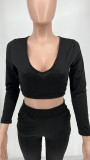 Plus Size Long Sleeve V Neck Two Piece Pants Sets WSYF-5950-1
