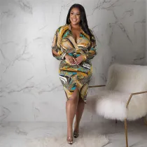 Plus Size Sexy Printed V Neck Split Long Sleeve Midi Dress ASL-7085