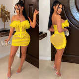Sexy Mesh Feather Tube Top Mini Skirt 2 Piece Sets BY-5903