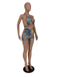 Plus Size Printed Two Piece Shorts Sets ZDF-31215