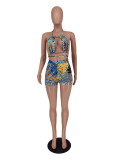 Plus Size Printed Two Piece Shorts Sets ZDF-31215
