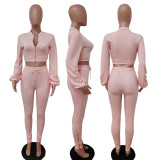 Casual Long Sleeve Zipper Top Split Pants 2 Piece Sets LSD-83110