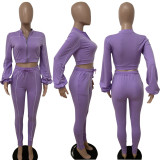 Casual Long Sleeve Zipper Top Split Pants 2 Piece Sets LSD-83110
