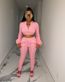 Casual Long Sleeve Zipper Top Split Pants 2 Piece Sets LSD-83110