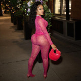 Sexy Mesh Sheer Print Long Sleeve Two Piece Pants Sets XEF-K22S17438