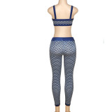 Sexy Print Sling Top And Pants Two Piece Set XEF-K22S16668