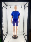Solid T Shirt Mesh Shorts Two Piece Sets DDF-88163