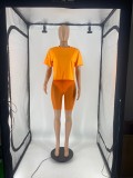 Solid T Shirt Mesh Shorts Two Piece Sets DDF-88163