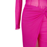 Sexy Mesh See Through Long Sleeve Jumpsuit+Split Skirt 2 Piece Sets ASL-6596