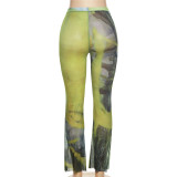 Mesh Print Slim Casual Pants XEF-K22P15895