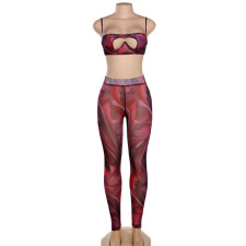 Sexy Mesh Print Hollow Sling Top And Pants Set XEF-K22S14724