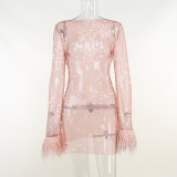Sexy Mesh See-Through Feather Night Club Dress FL-22229