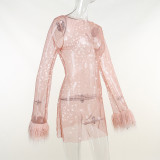 Sexy Mesh See-Through Feather Night Club Dress FL-22229
