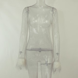 Sexy Mesh See-Through Feather Night Club Dress FL-22229