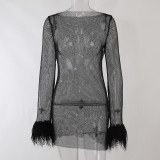 Sexy Mesh See-Through Feather Night Club Dress FL-22229