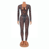 Sexy Mesh Print Bodysuit And Pants Two Piece Set GOSD-OS6261