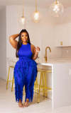 Plus Size Sleeveless Tassel Pants 2 Piece Sets ZDF-31230