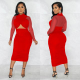 Sexy Mesh Patchwork Long Sleeve Midi Dress BY-5963
