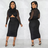 Sexy Mesh Patchwork Long Sleeve Midi Dress BY-5963