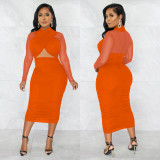 Sexy Mesh Patchwork Long Sleeve Midi Dress BY-5963
