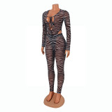 Sexy Mesh Print Bodysuit And Pants Two Piece Set GOSD-OS6261