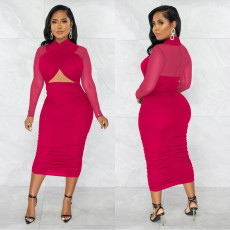 Sexy Mesh Patchwork Long Sleeve Midi Dress BY-5963