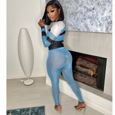 Mesh Sheer Long Sleeve Two Piece Pants Set GOSD-OS6512