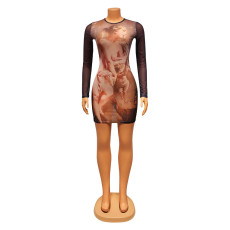 Sexy Mesh Print Long Sleeve Mini Dress GOSD-OS6575