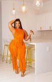 Plus Size Sleeveless Tassel Pants 2 Piece Sets ZDF-31230