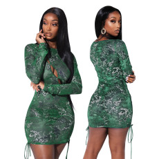 Sexy Print Mesh Hollow Long Sleeve Dress GOSD-OS6104