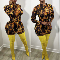 Sexy Mesh Print Long Sleeve Mini Dress GOSD-OS6159