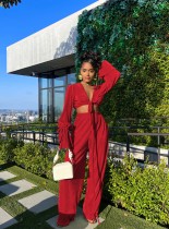 Solid Long Sleeve Two Piece Pants Sets NIK-318