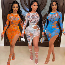 Sexy Mesh Print Long Sleeve Bodysuits And Skirt Two Piece Set GOSD-OS6312