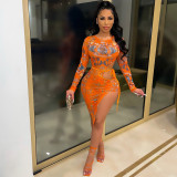 Sexy Mesh Print Long Sleeve Bodysuits And Skirt Two Piece Set GOSD-OS6312