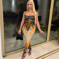 Sexy Mesh Print Sling Bodysuit And Pants Two Piece Set GOSD-OS6323