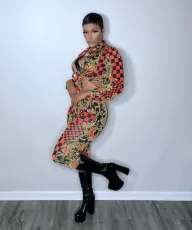 Casual Printed Shirt And Pants 2 Piece Sets QZX-6264